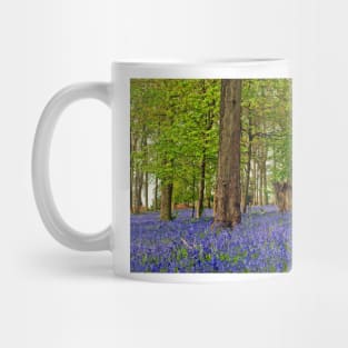 Bluebells Bluebell Woods Greys Court Oxfordshire UK Mug